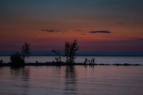 Foto d'estoc gratuïta de arbres, caminant, capvespre