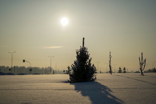 Kostnadsfri bild av snö, Sol, solnedgång