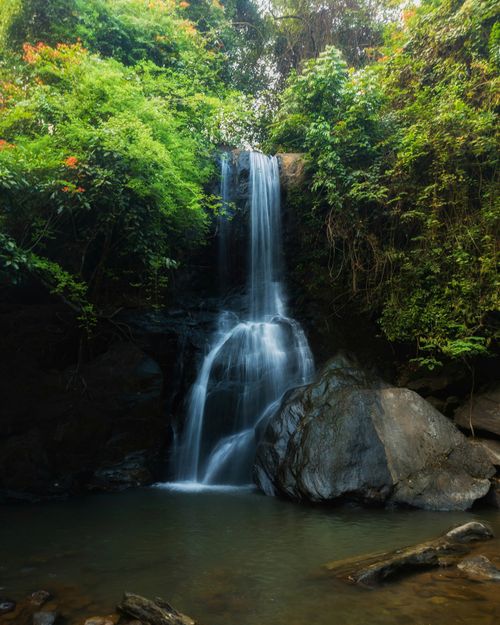 Free Tranquil waterfall cascading into a pool surrounded by vibrant greenery, perfect for nature enthusiasts. Stock Photo