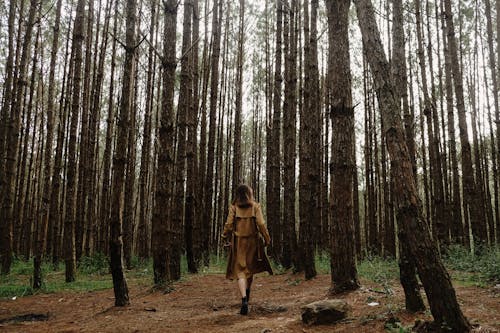 Woman In The Middle Of Forest