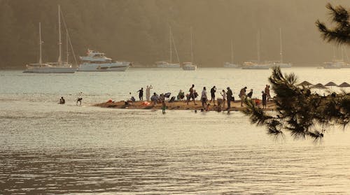 People Playing on Lakeshore