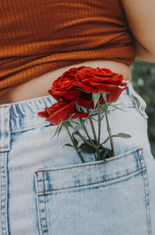 Free Stylish red roses tucked into back pocket of casual denim jeans for a chic floral fashion statement. Stock Photo