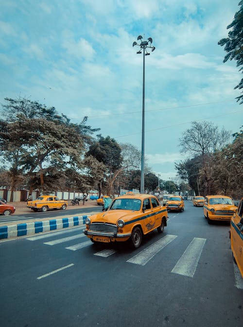 streetphotography, 加尔各答, 印度 的 免费素材图片