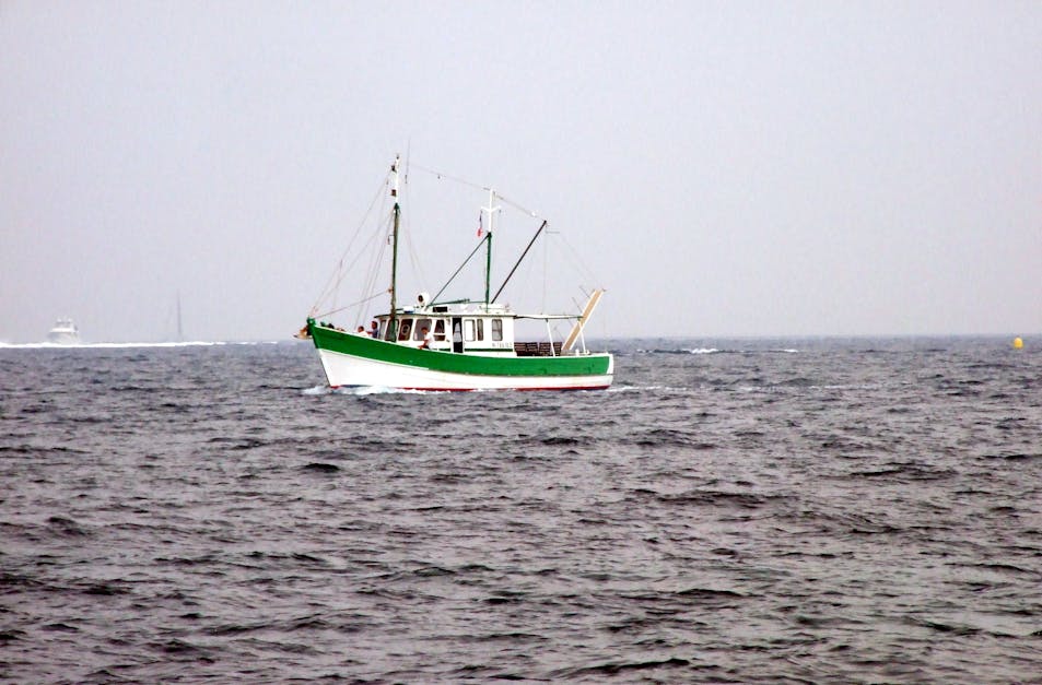 Free stock photo of boat, ocean