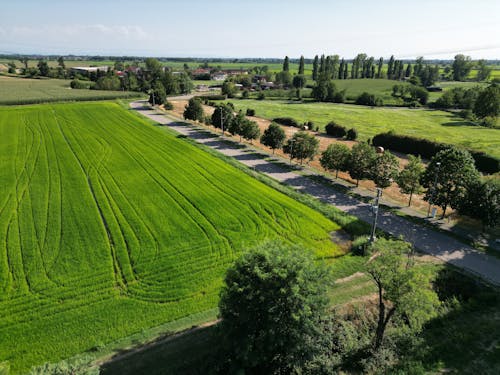 Imagine de stoc gratuită din cer frumos, dronă, la țară