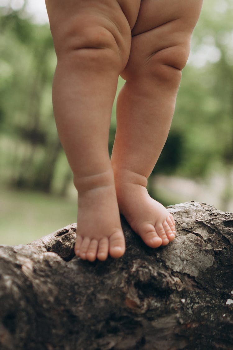 Baby Legs On Tree Trunk