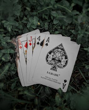 Image by febri visual