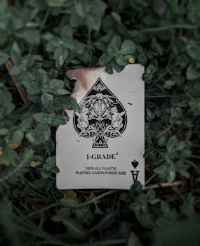 Image by febri visual