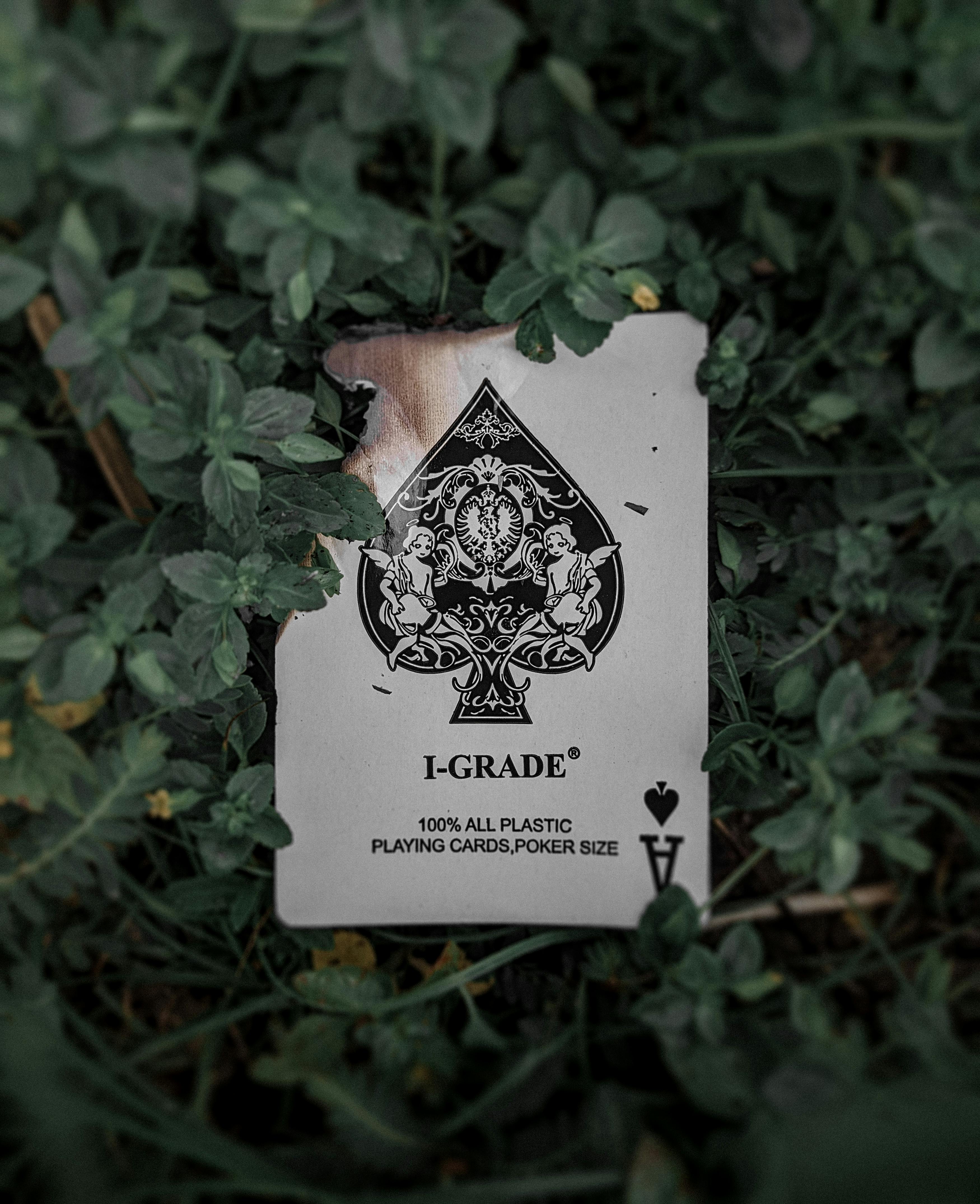 Foto stok gratis tentang ace alam artistik as sekop bagian