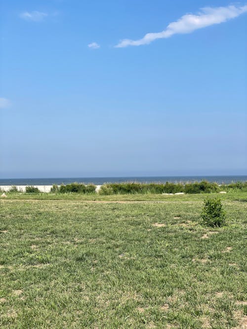 Бесплатное стоковое фото с берег, вертикальный выстрел, голубое небо