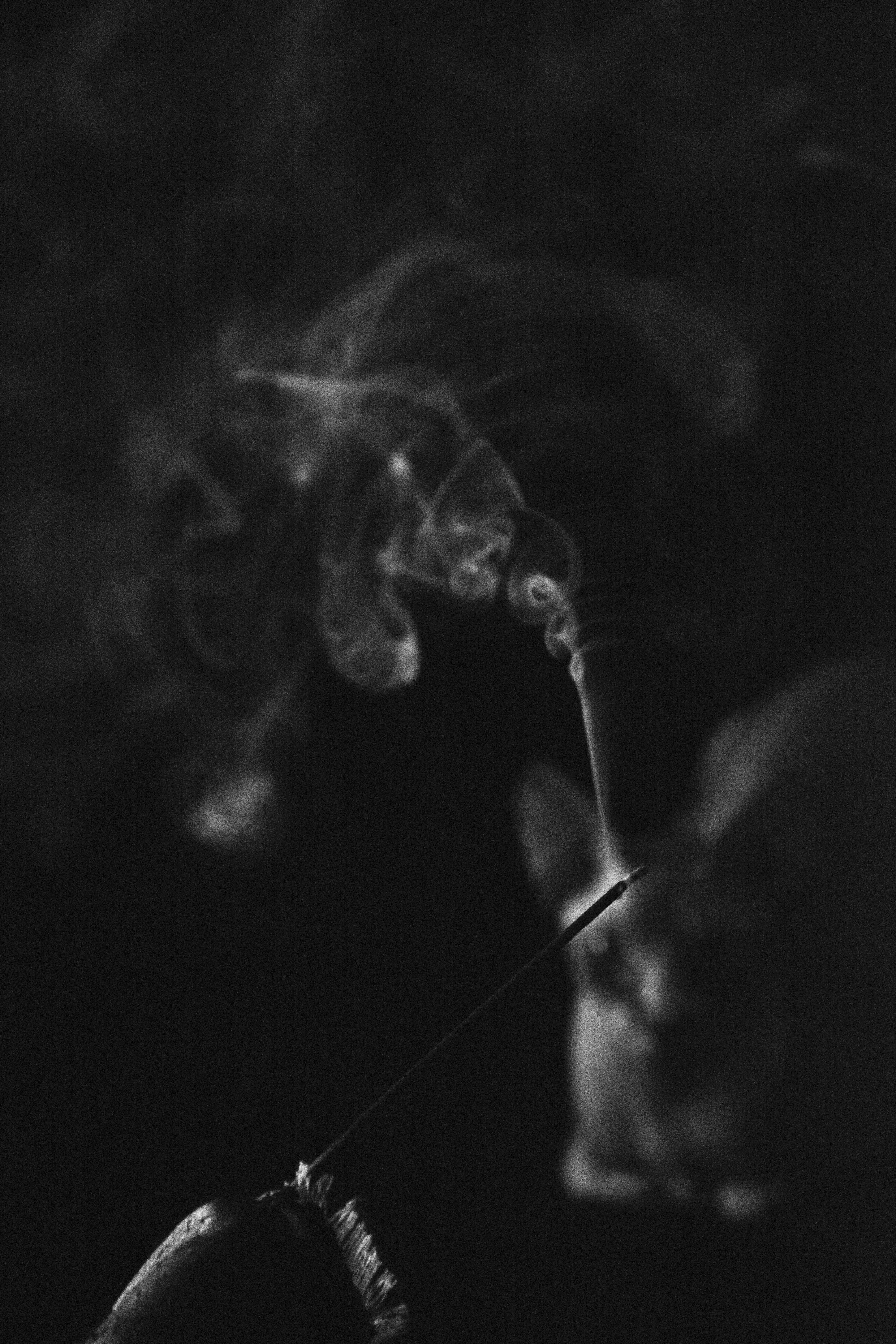 Free stock photo of black and white, cat, smoke