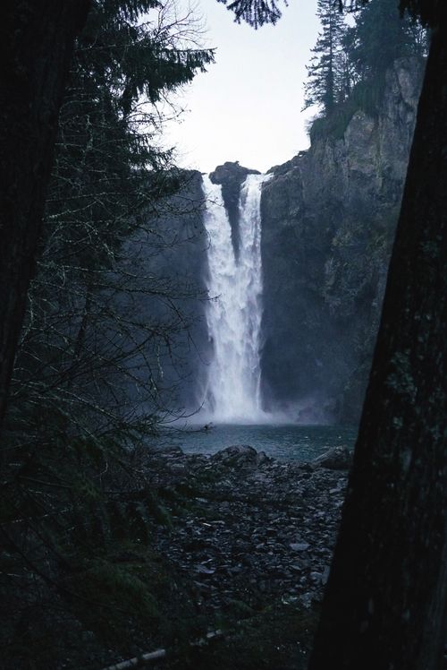 Free A dramatic capture of Snoqualmie Falls framed by dark trees in Washington's lush landscape. Stock Photo