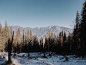漫步于苏平山脉白雪皑皑的森林，感受宁静之美，远眺山景