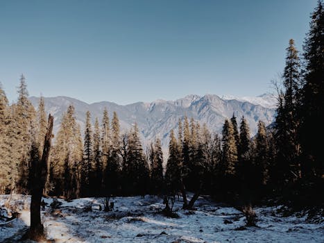 漫步于苏平山脉白雪皑皑的森林，感受宁静之美，远眺山景