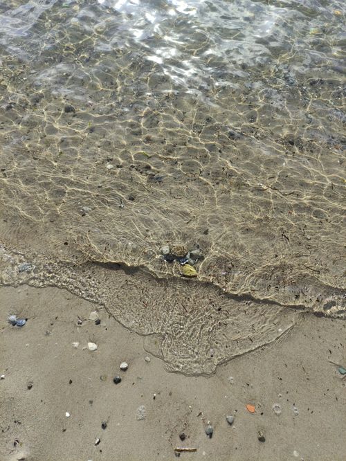 Free A tranquil beach scene capturing clear water ripples and sandy shore. Stock Photo