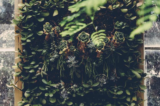 垂直花园的展示引人注目，以多样化的多肉植物和郁郁葱葱的树叶为特色