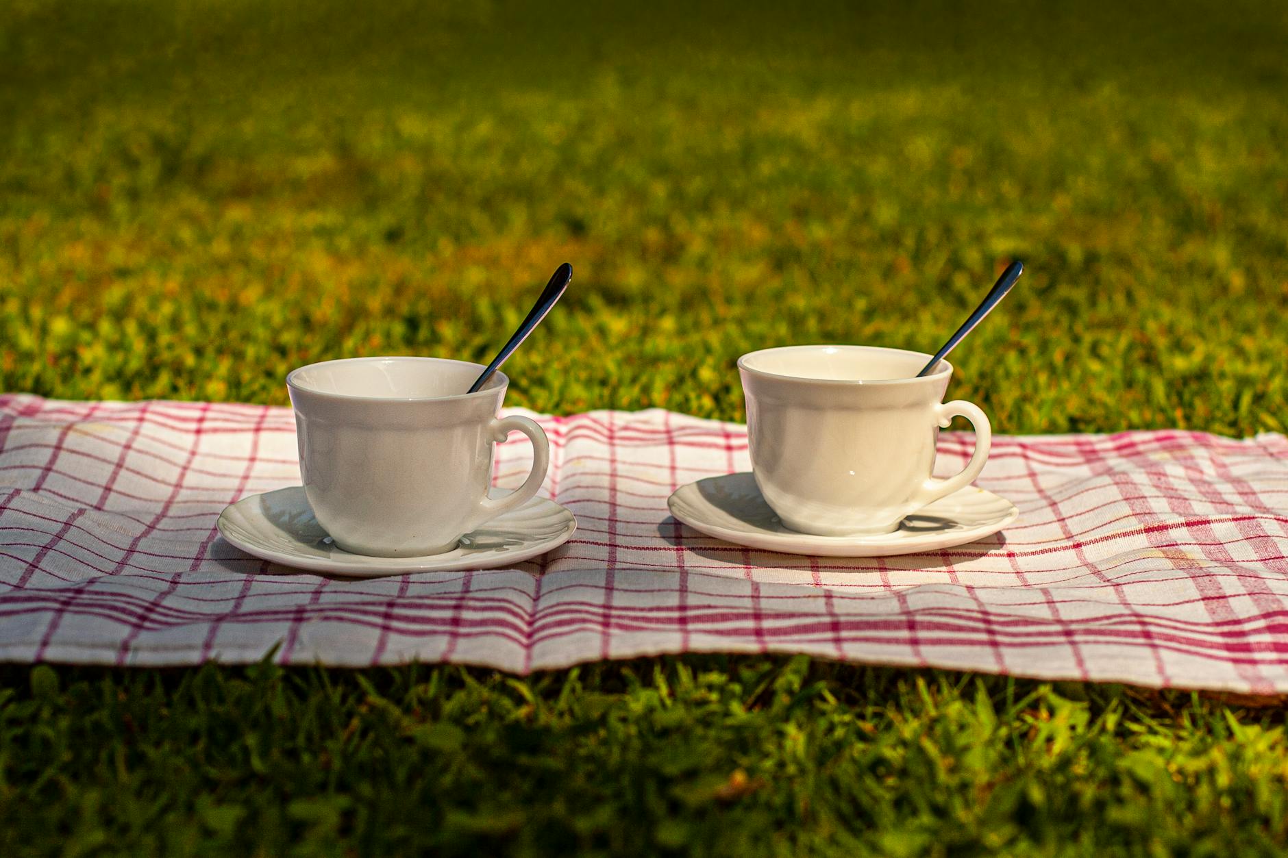 The Origins of Eat Stop Eat Diet