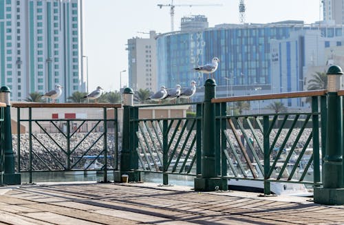 Бесплатное стоковое фото с город, города, городской