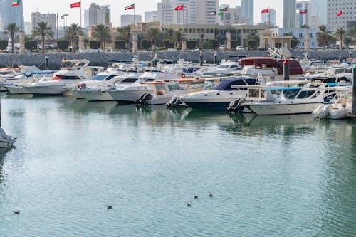 Motorboats Moored in Kuwait City