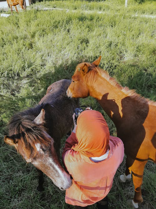 Woman in Hijab Standing among Horses