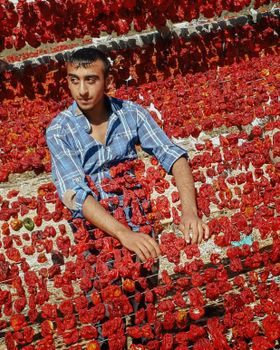 Aleppo Pepper (Halab) — kidney-friendly food