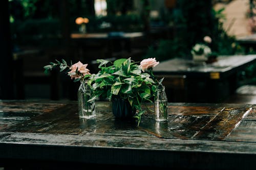 Безкоштовне стокове фото на тему «ваза, дерев’яний стіл, кафе»