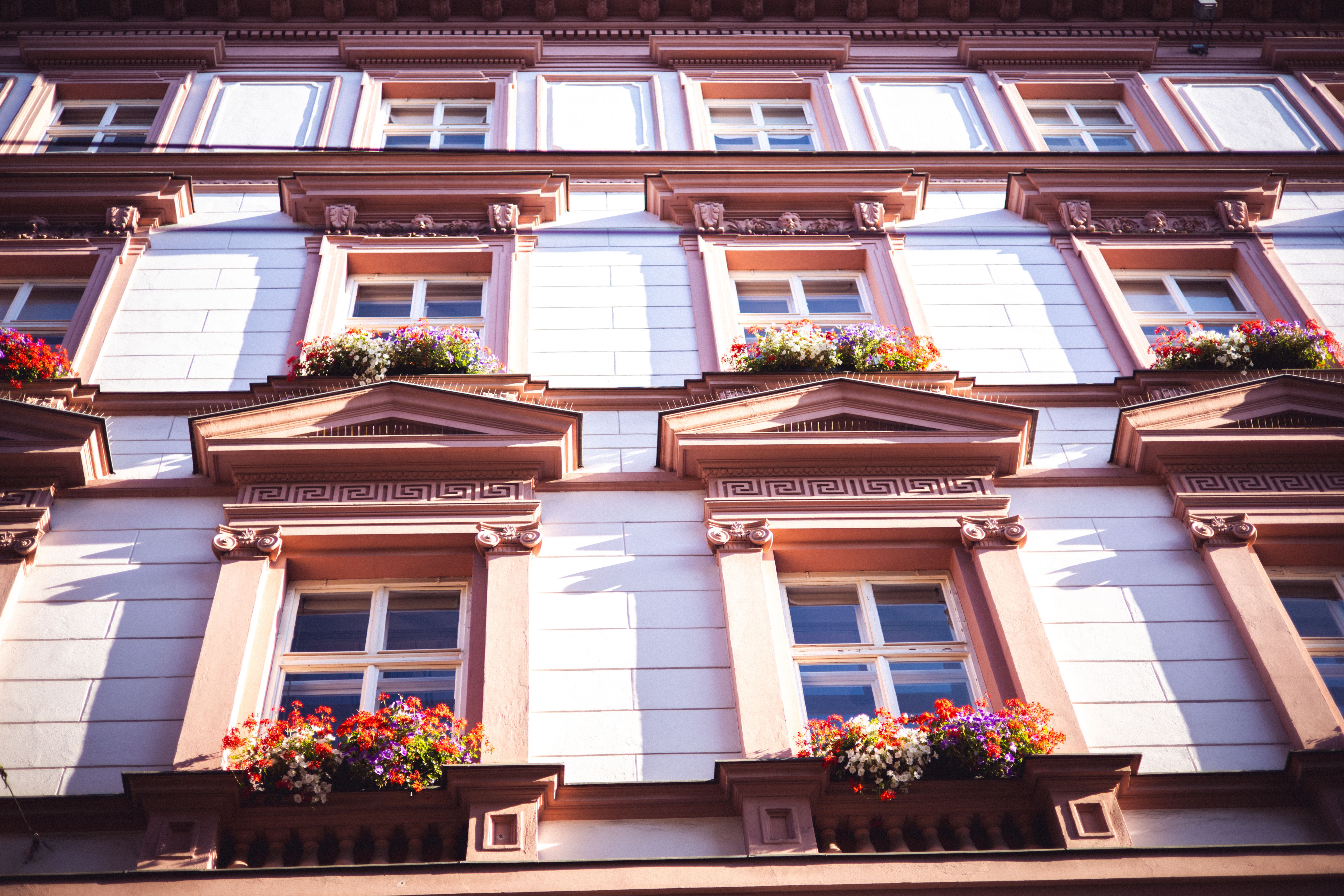 Balcons fleuris : l’Europe pittoresque et économique