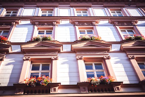 Potted Flowers on Windowsills of Neoclassical Facade