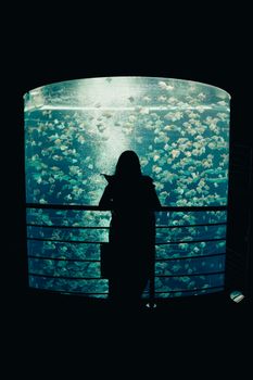 Silhouette of a person observing fish inside a large aquarium tank.