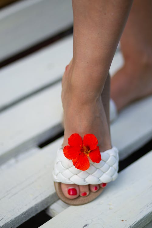 Free Red Poppy on Woman Footwear Stock Photo