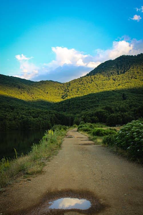 A dirt road leading to a mountain with a puddle