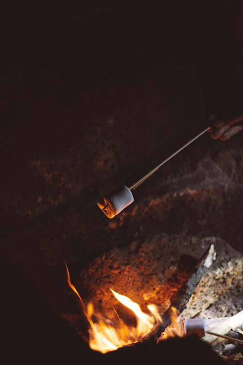 無料 マシュマロの火焼き 写真素材
