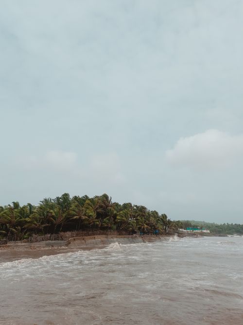 Free Scenic view of a tropical beach lined with coconut palm trees and gentle ocean waves under a clear sky. Stock Photo