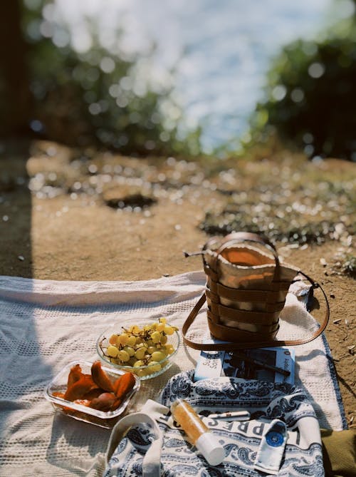 Foto profissional grátis de alforje, alimento, coberta