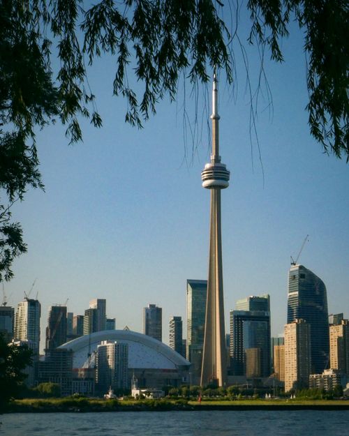 Free Toronto skyline with CN Tower and skyscrapers at daytime, framed by foliage. Stock Photo