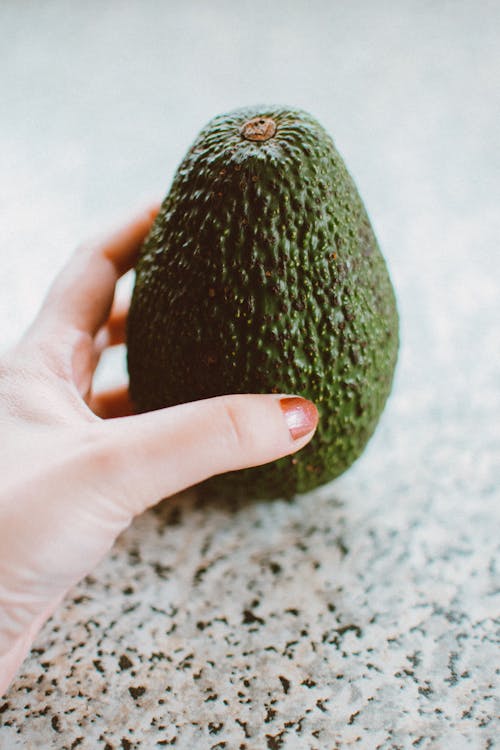 Green Avocado Fruit 