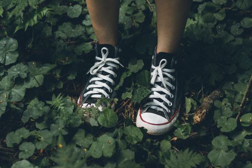 Free Close-up of person's feet in sneakers standing amidst lush green leaves. Stock Photo