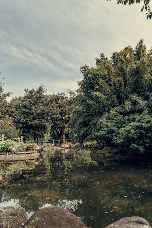 Základová fotografie zdarma na téma břeh řeky, odraz, příroda