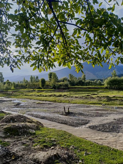 Free Explore the tranquil countryside of Sogam with lush greenery and flowing river under a summer sky. Stock Photo