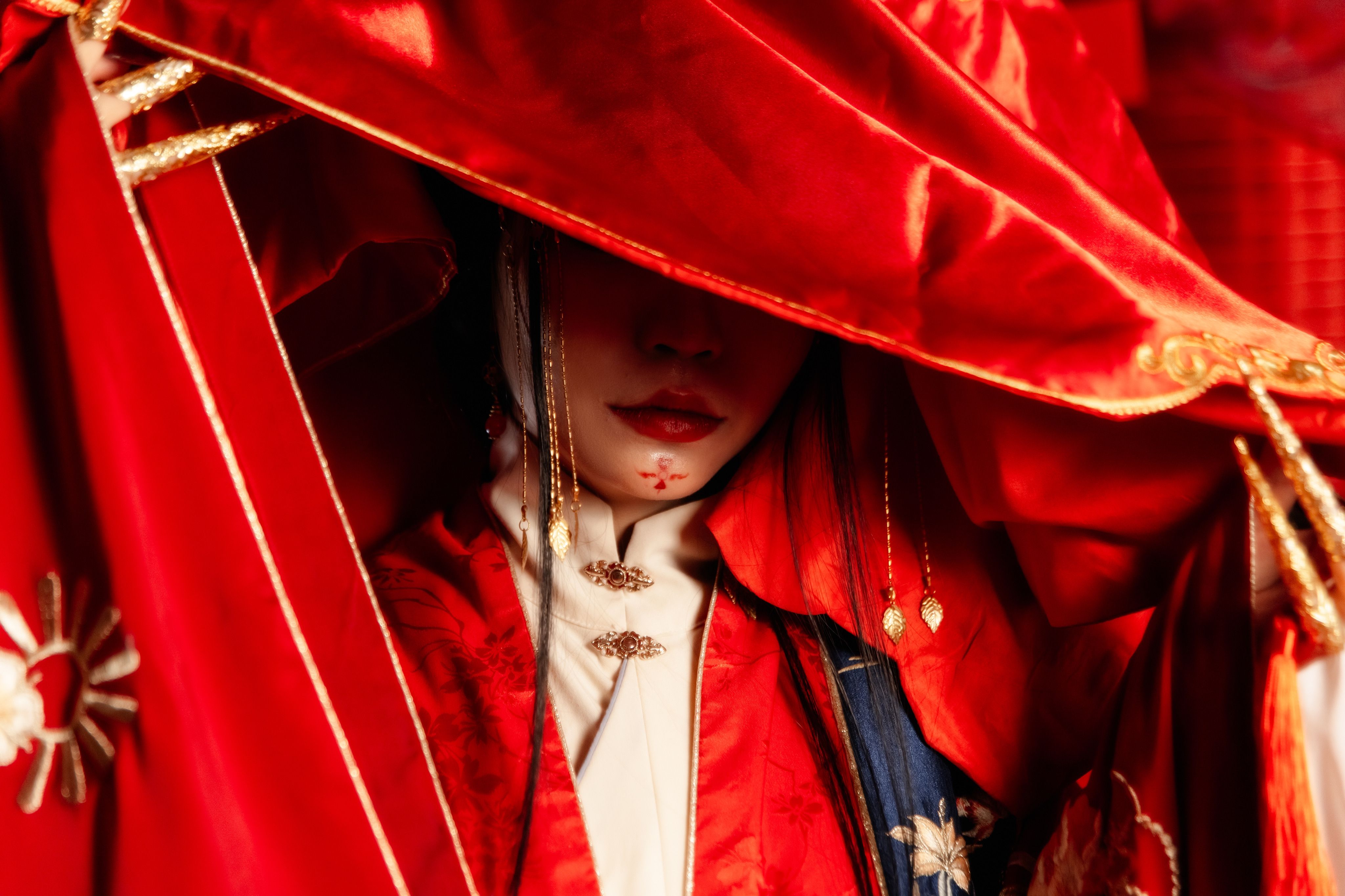 诡秘之主2：宿命之环——揭秘命运的神秘面纱