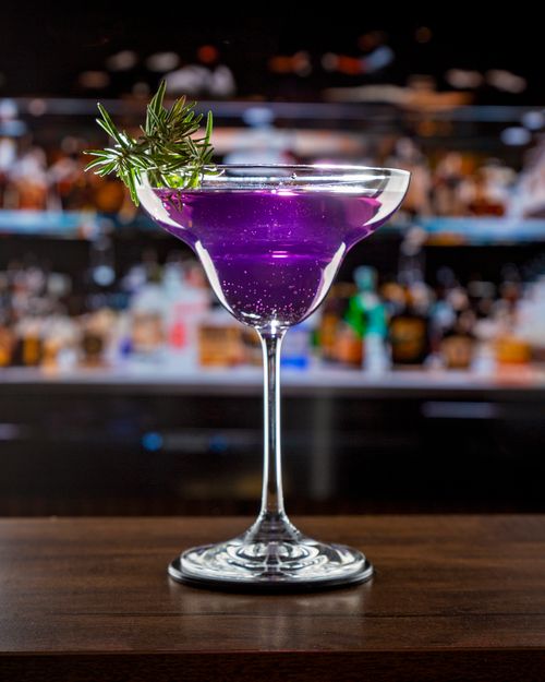 Free Vibrant purple cocktail with rosemary garnish on bar counter, perfect for nightlife scenes. Stock Photo