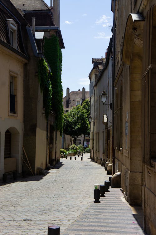 View of a Cobblestone Alley between Buildings in Sunlight 