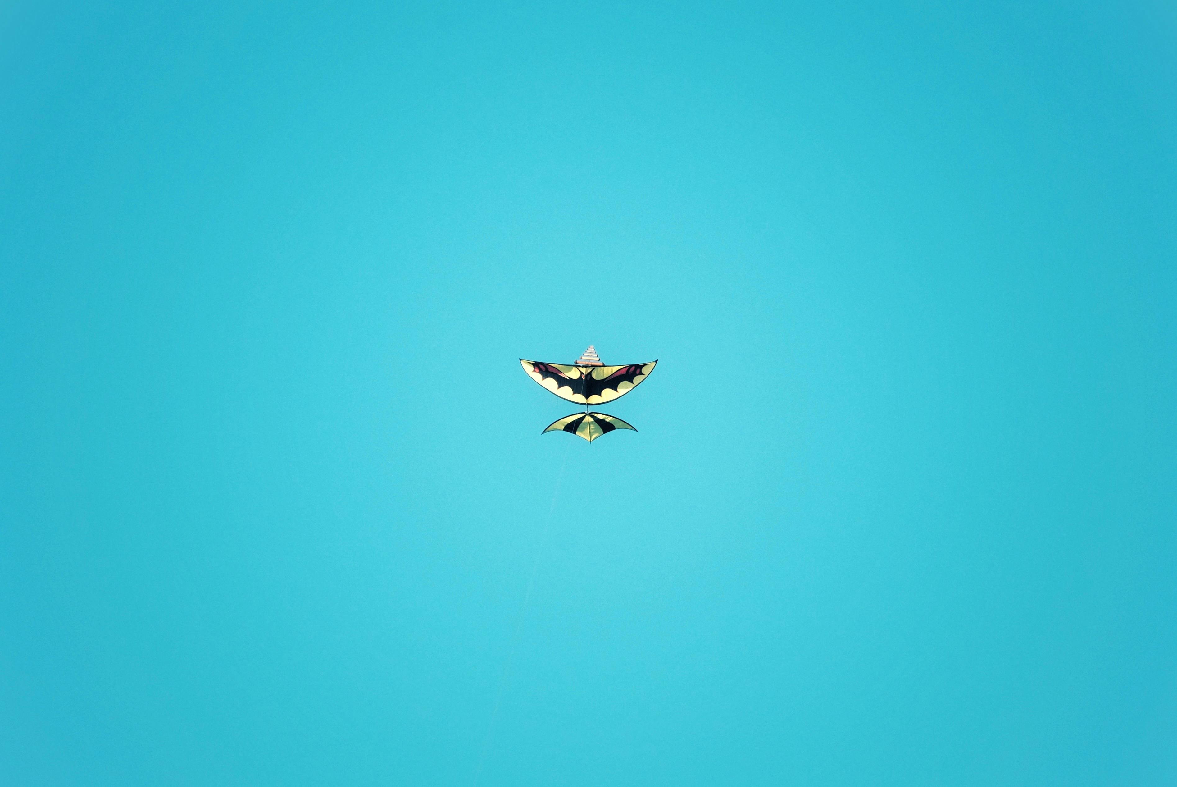 Zadarmo Fotobanka s bezplatnými fotkami na tému čerstvosť, čistota, dynamický Fotka z fotobanky