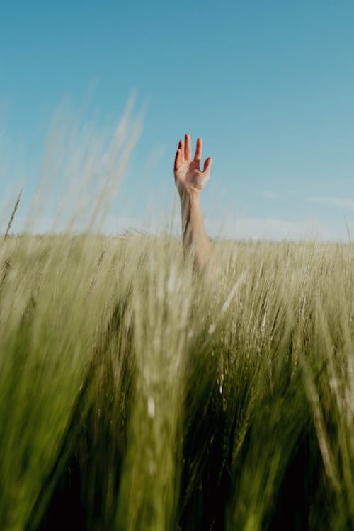 Základová fotografie zdarma na téma čisté nebe, hřiště, koncepční