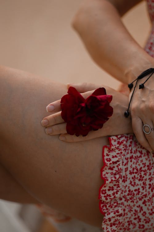 Close-up of Woman Holding a Red Flower between Her Fingers 