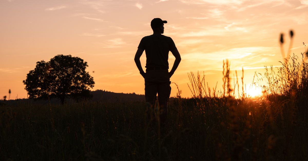 Les Meilleures Techniques pour Observer la Faune en Nature