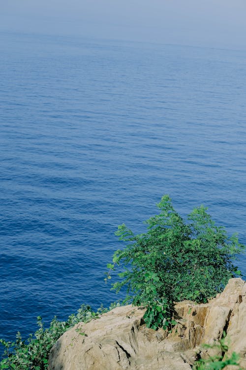 Fotos de stock gratuitas de mar azul, Oceano, orilla del mar