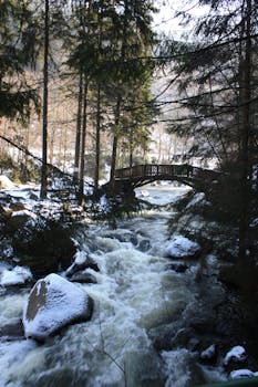 冬日里，森林的小溪被白雪覆盖，质朴的木桥静立其间
