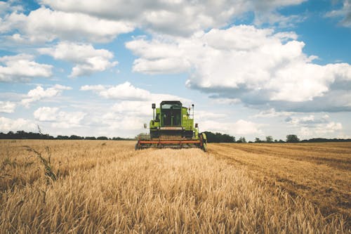 Free Green Tractor Stock Photo