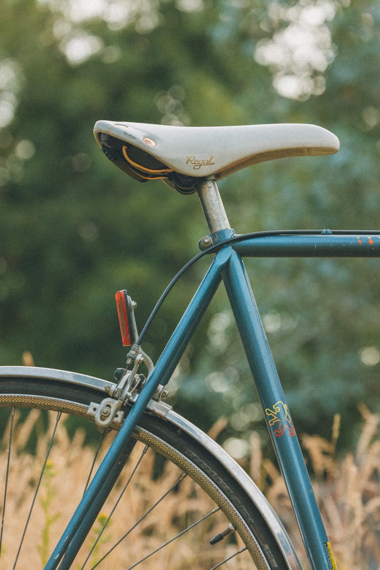 Saddle Of Vintage Bicycle